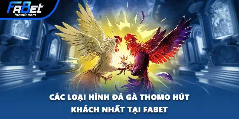 Các loại hình đá gà Thomo hút khách nhất tại FABET