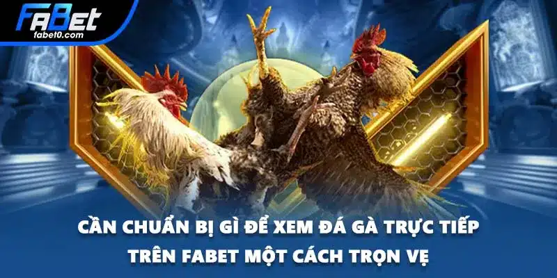 Cần chuẩn bị gì để xem đá gà trực tiếp trên FABET một cách trọn vẹ