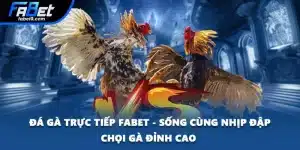 Đá Gà Trực Tiếp