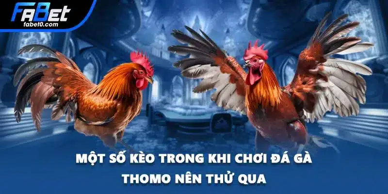 Một số kèo trong khi chơi đá gà Thomo nên thử qua