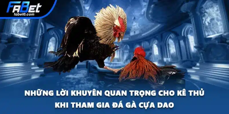 Những lời khuyên quan trọng cho kê thủ khi tham gia đá gà cựa dao