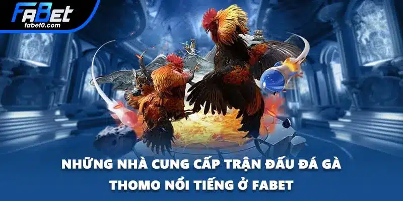 Những nhà cung cấp trận đấu đá gà Thomo nổi tiếng ở FABET